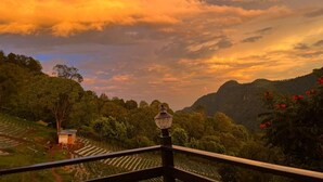Una vista panorámica desde un balcón con un farol, abundante vegetación y una pequeña construcción al frente.