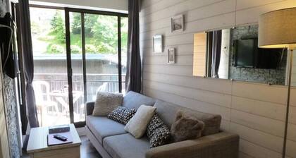 Cozy and Cocooning Studio, Refurbished in the Heart of Bareges