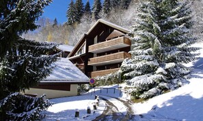 Exterior - Apartment in Champagny Near Ski Slopes (Champagny-en-Vanoise)