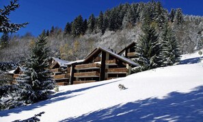 Exterior - Apartment in Champagny Near Ski Slopes (Champagny-en-Vanoise)