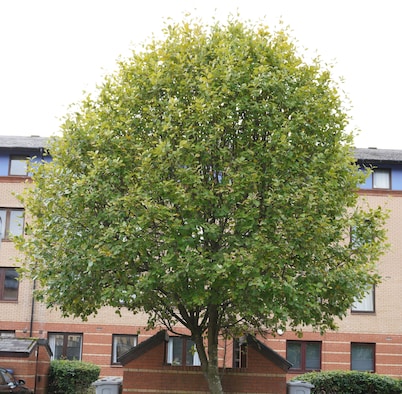 Group Stay 4-Bedroom
