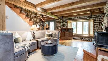 Smart TV, fireplace, video games, books