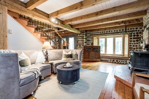 Smart TV, fireplace, video games, books