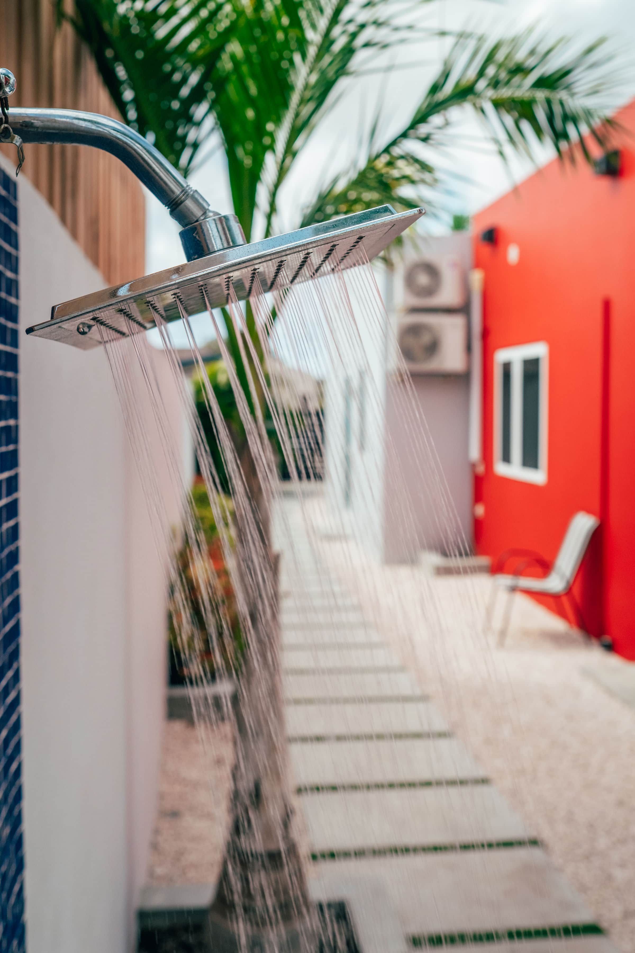 Un cabezal de ducha con agua corriendo, una palmera y una pared roja con una ventana.