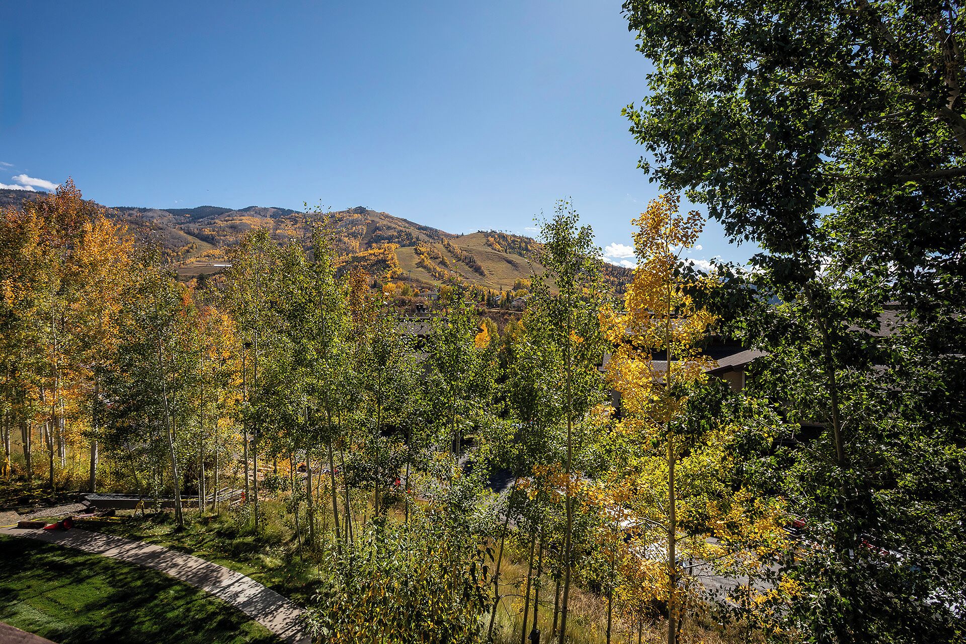 A mountainous landscape with autumn foliage, a clear sky, and a road leading into the distance.