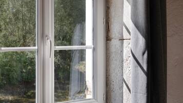 A window with a view of greenery outside.