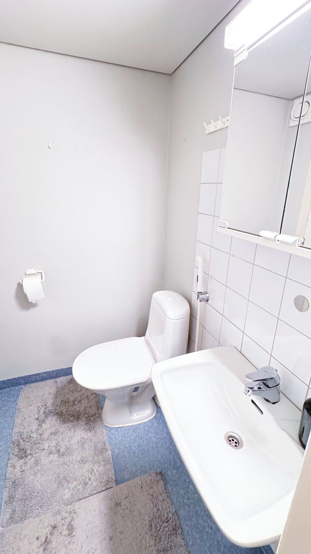 Bruser, hårtørrer, bidet, håndklæder