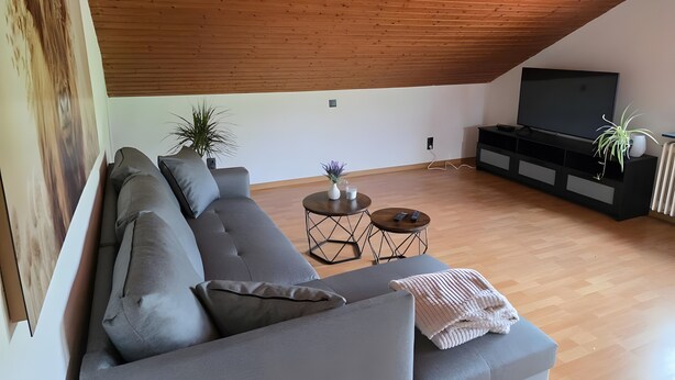Un salon moderne avec un canapé gris, un téléviseur, une petite table sur laquelle est posée une plante, et un plafond en bois.