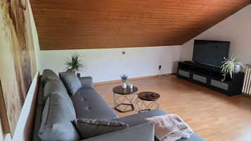 TV, video game console