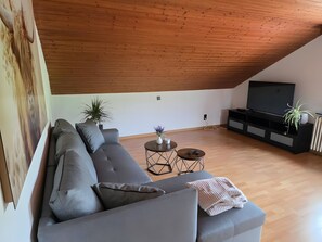 A modern living room with a grey sofa, a TV, a small table with a plant, and a wooden ceiling. - Apartment "Gemütliches" with Shared Garden and Wi-Fi (Albbruck)