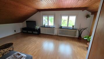 Fernseher, Videospielkonsole