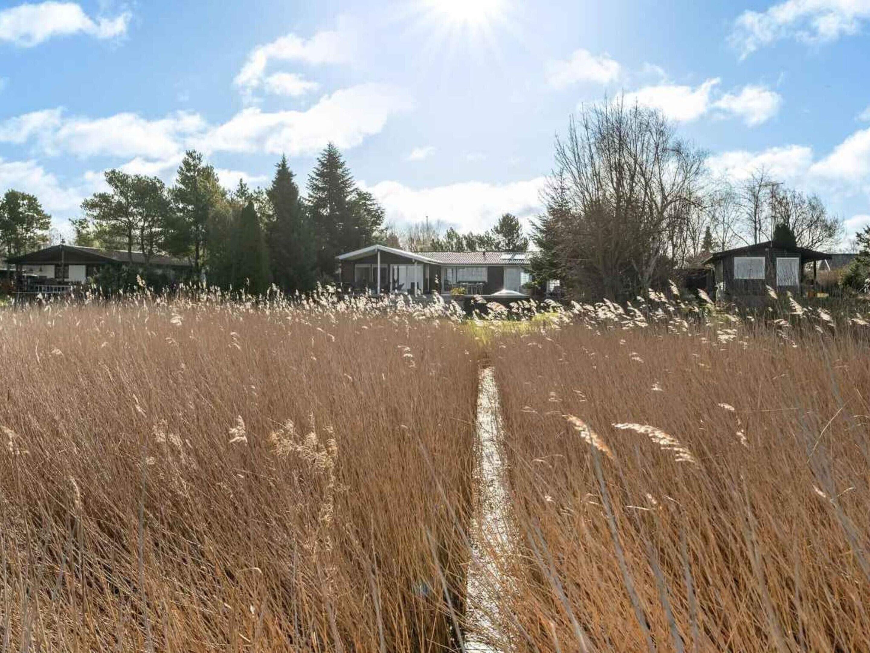 Un chemin qui mène à une rangée de maisons, avec un ciel dégagé au-dessus.