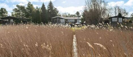 Un chemin qui mène à une rangée de maisons, avec un ciel dégagé au-dessus.
