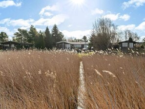 House | Property grounds