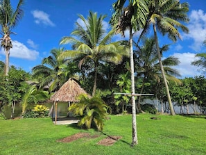 Property grounds - Mirz Accomodation FJ (Pacific Harbour)