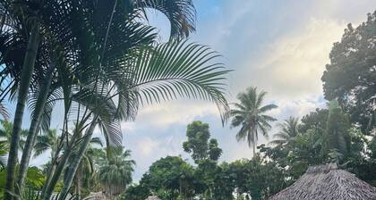 Mirz Accomodation FJ