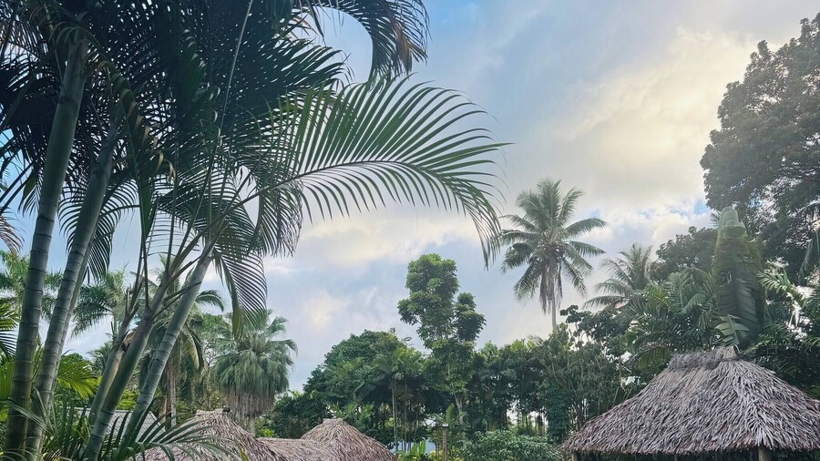 Mirz Accomodation FJ