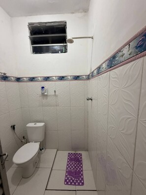 Ducha, toallas, papel higiénico