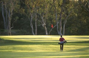 Condo, 3 habitaciones | Golf
