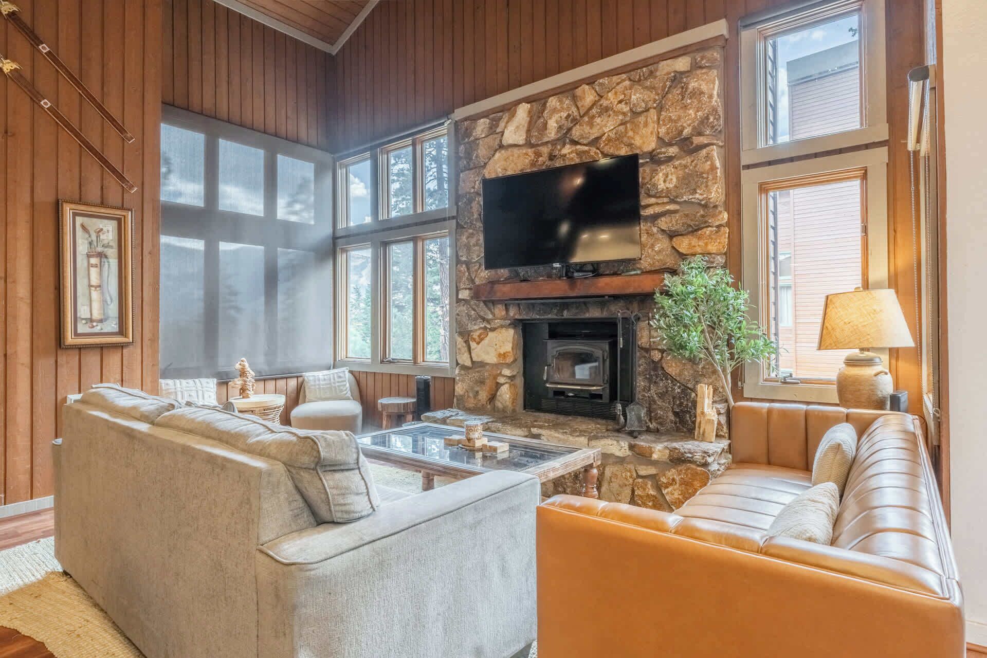 TV, caminetto, lettore DVD, studio