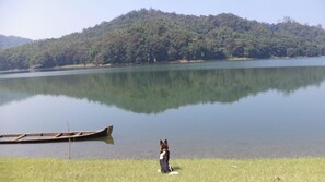 湖