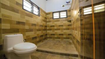 Regadera, toallas, jabón, papel de baño