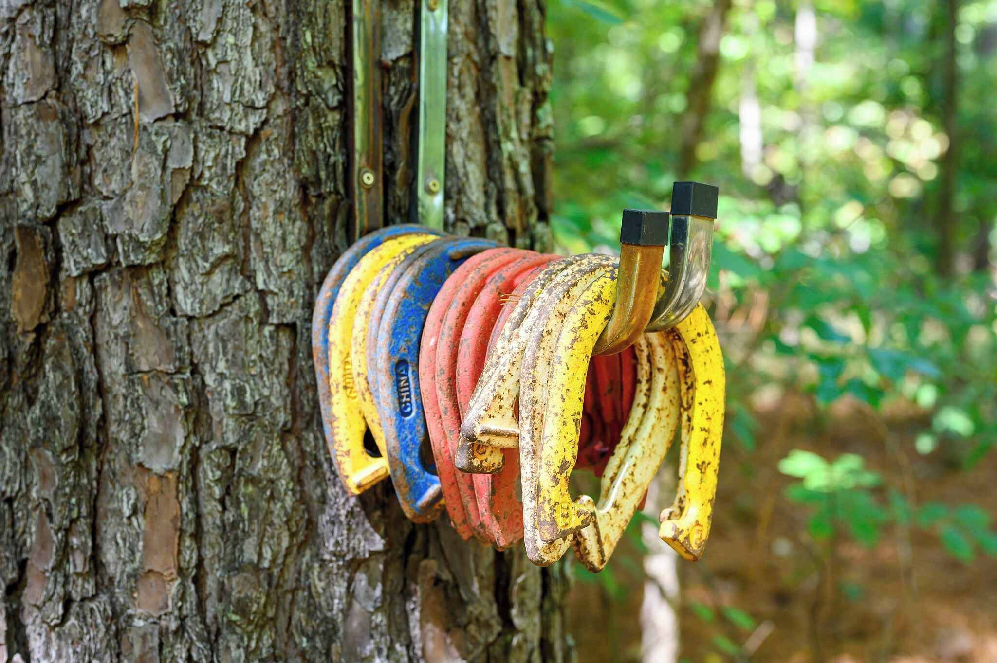 A tree trunk with a series of colorful, weathered metal rings attached to it.