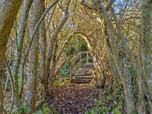 Casa | Vista desde la propiedad