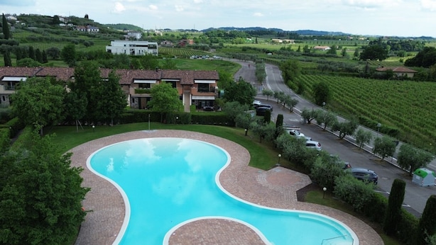 A swimming pool with a wavy design, surrounded by a brick deck and lush greenery.