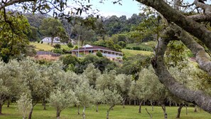 Property grounds - Olive Grove - Pet Friendly with Fireplace (Meroo Meadow)