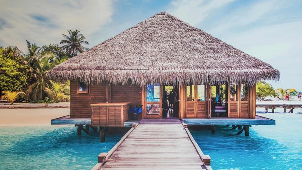 A thatched-roof overwater bungalow with a wooden deck leading to it, surrounded by clear blue water and palm trees. - Between Lakes and Ocean For 4 (Hollywood)
