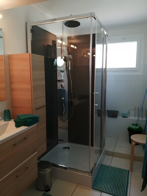 Shower, hair dryer, towels