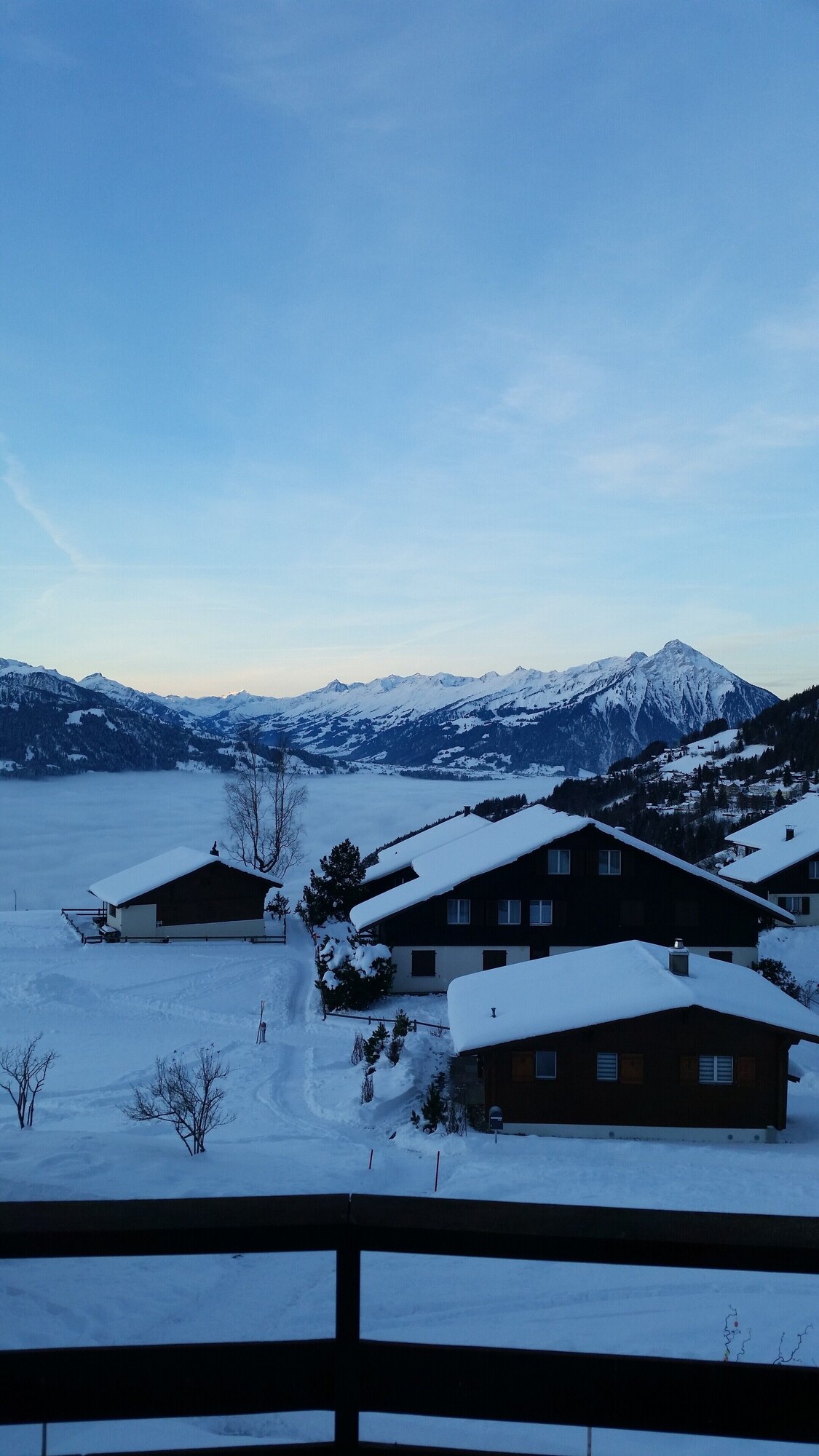 Bild für Gastgeberprofil