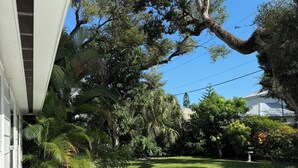Ein Wohngarten mit gepflastertem Weg, einem Müllbehälter mit Deckel und üppiger Bepflanzung, darunter Palmen und ein großer Baum mit gebogener Stammform.
