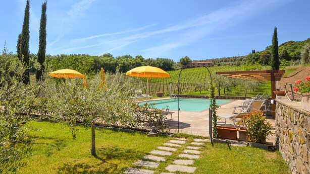 Ein Poolbereich mit Pergola und Liegestühlen, umgeben von Olivenbäumen und einem Weinberg im Hintergrund.
