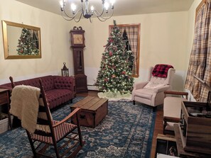 Smart TV, fireplace, books, music library