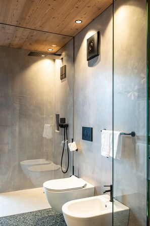 Shower, hair dryer, towels - Apartment 201 'Mountain Lodge Margit' with Private Balcony and Shared Garden (Maranza)