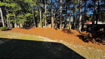 Àrea exterior de l'allotjament