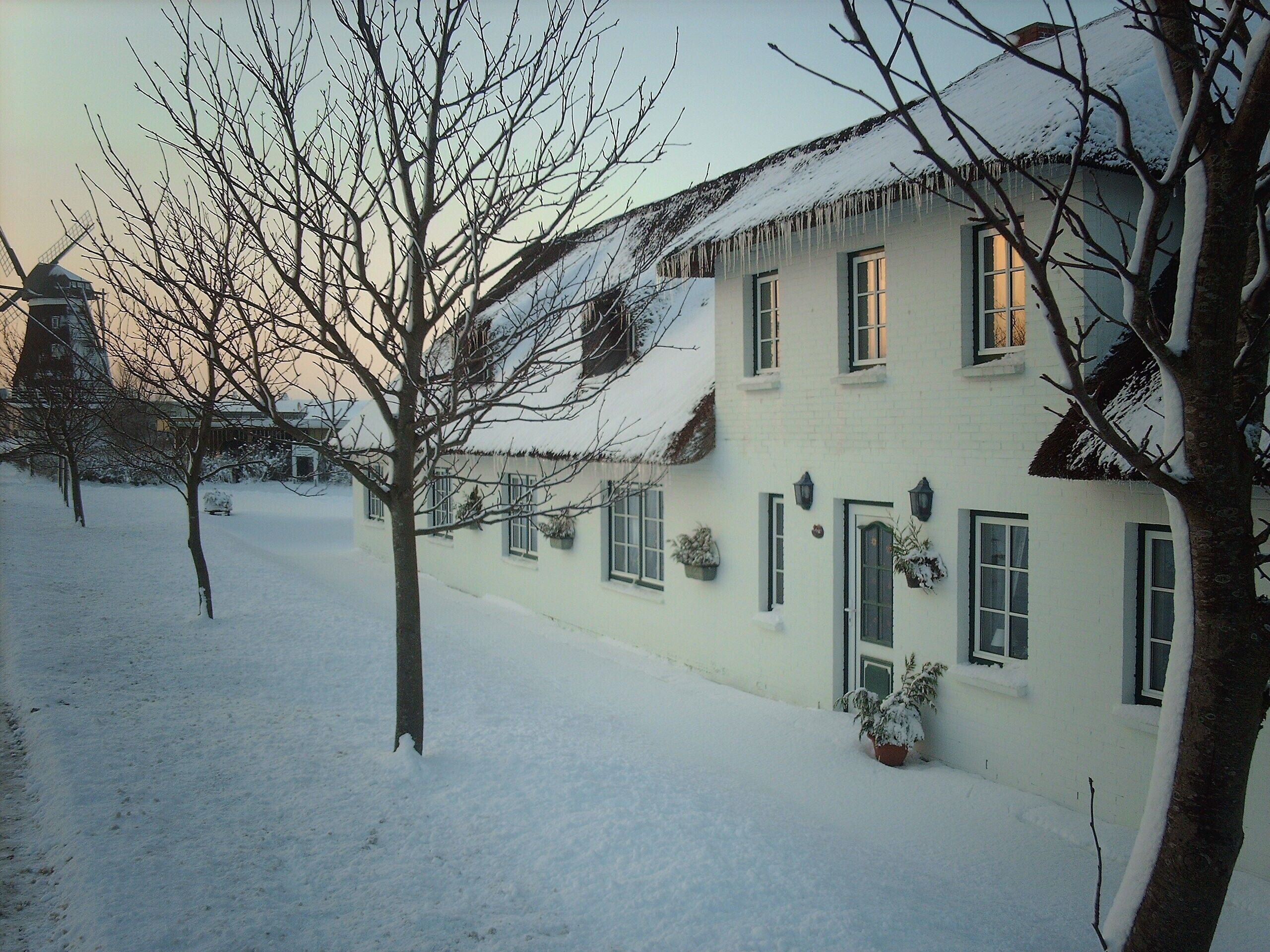A snow-covered house with multiple windows, a visible chimney, and a tree in the foreground.