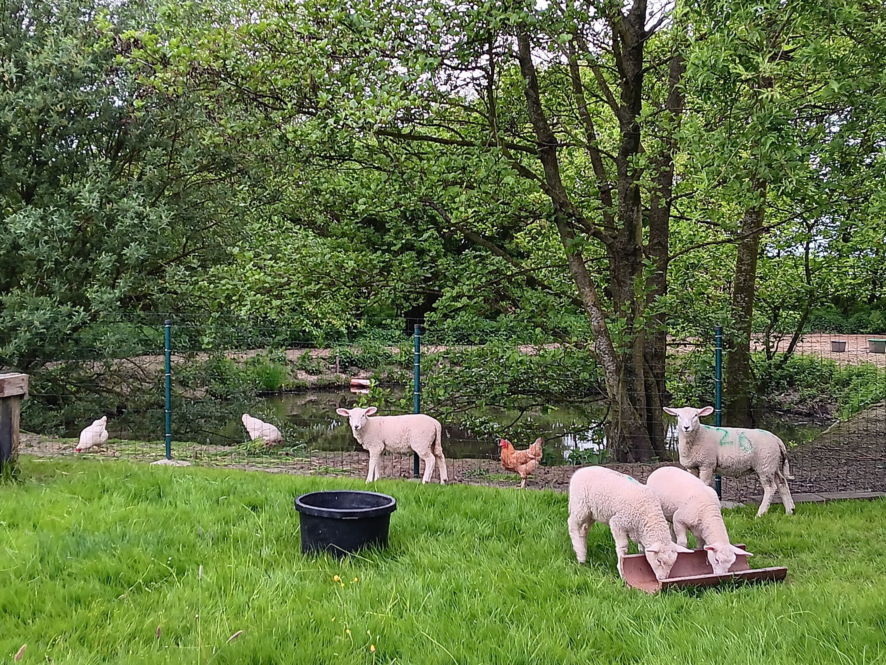 Áreas de la propiedad