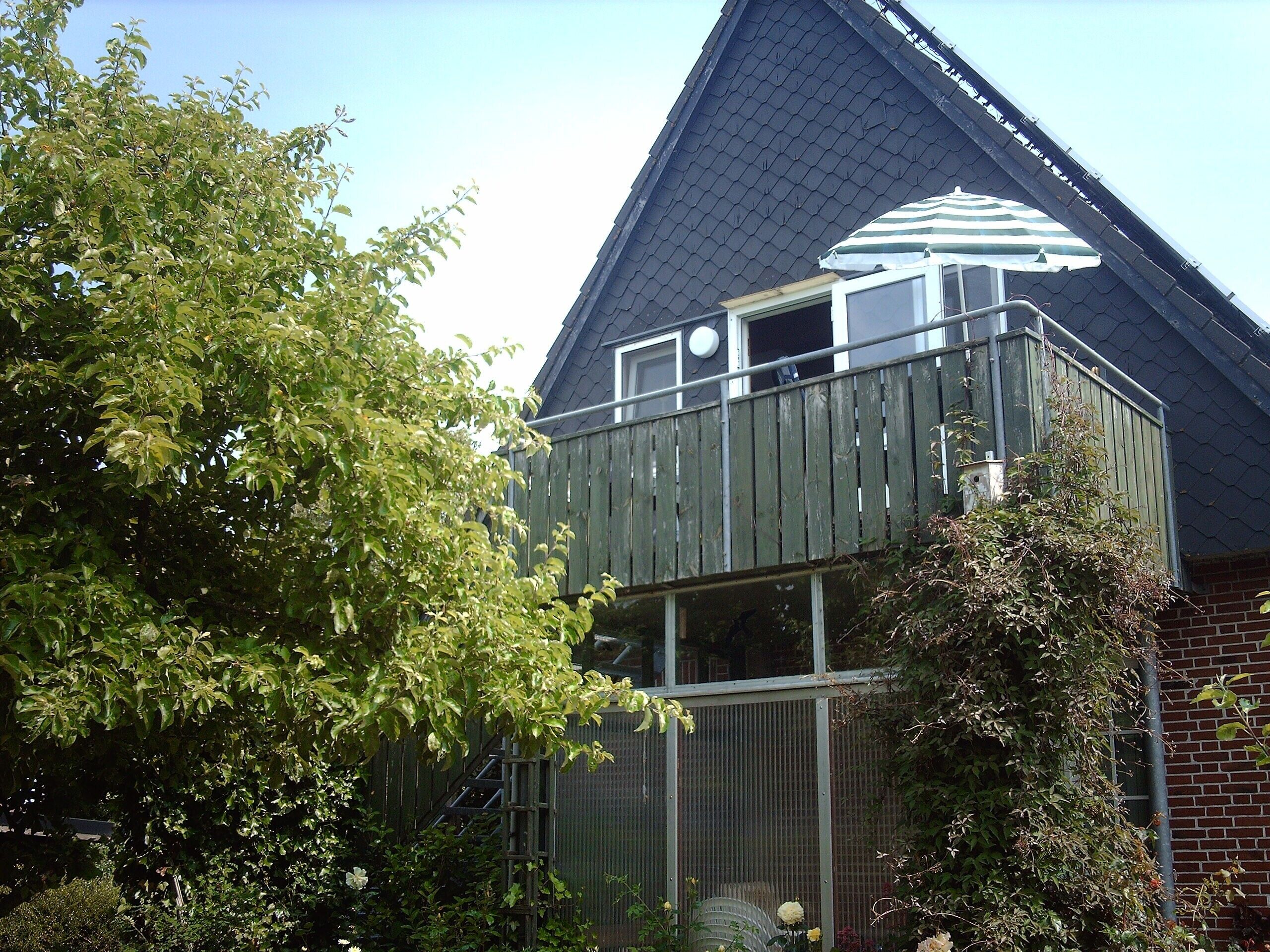 Eksteriør
