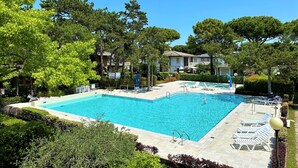 A rectangular swimming pool with a tiled deck, surrounded by greenery and trees.