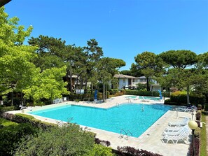 En rektangulær swimmingpool med fliseterrasse, omgivet af vegetation og træer.