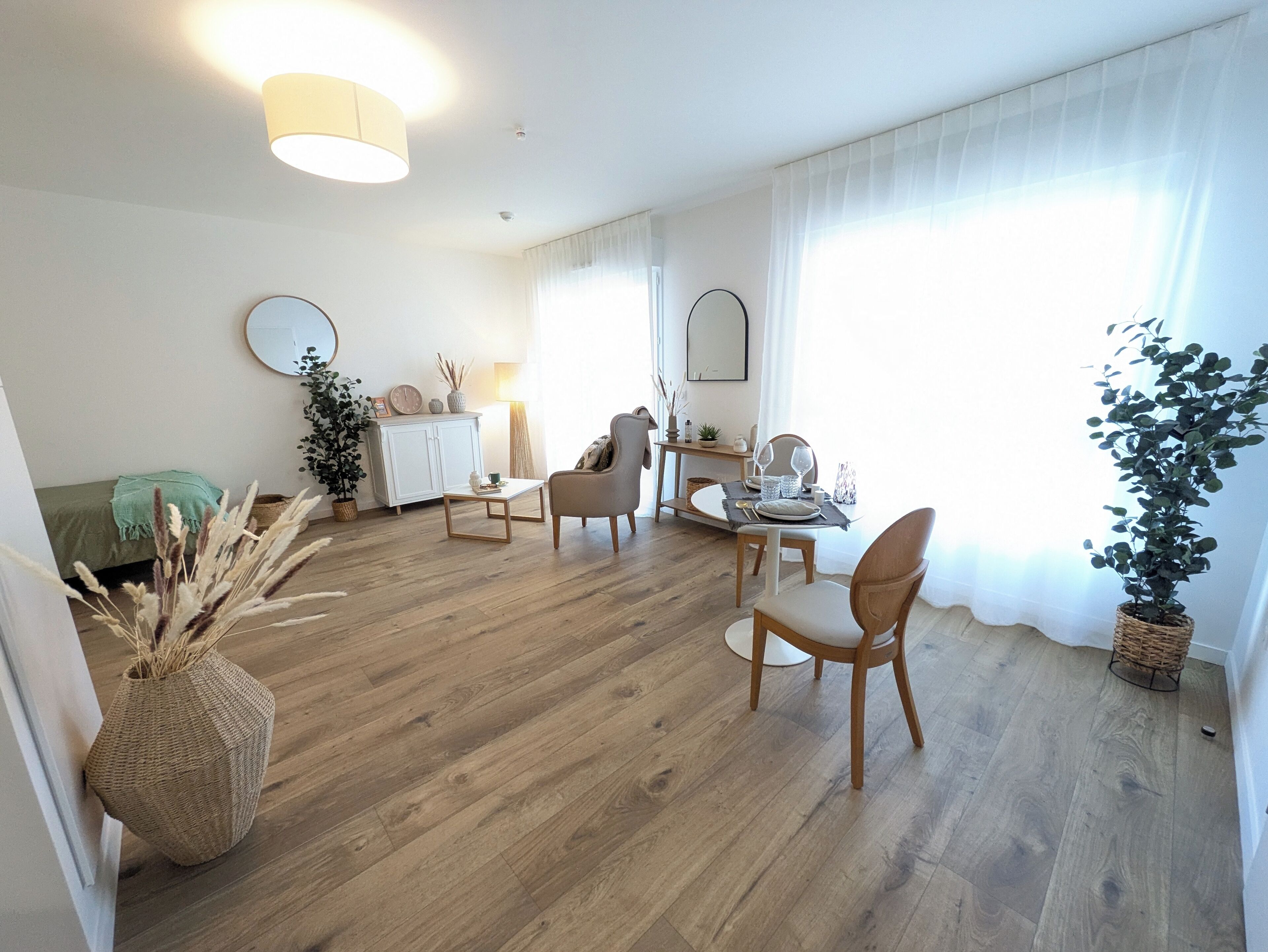 Estudio clásico | Área de sala de estar | Televisión de 80 cm con canales digitales 