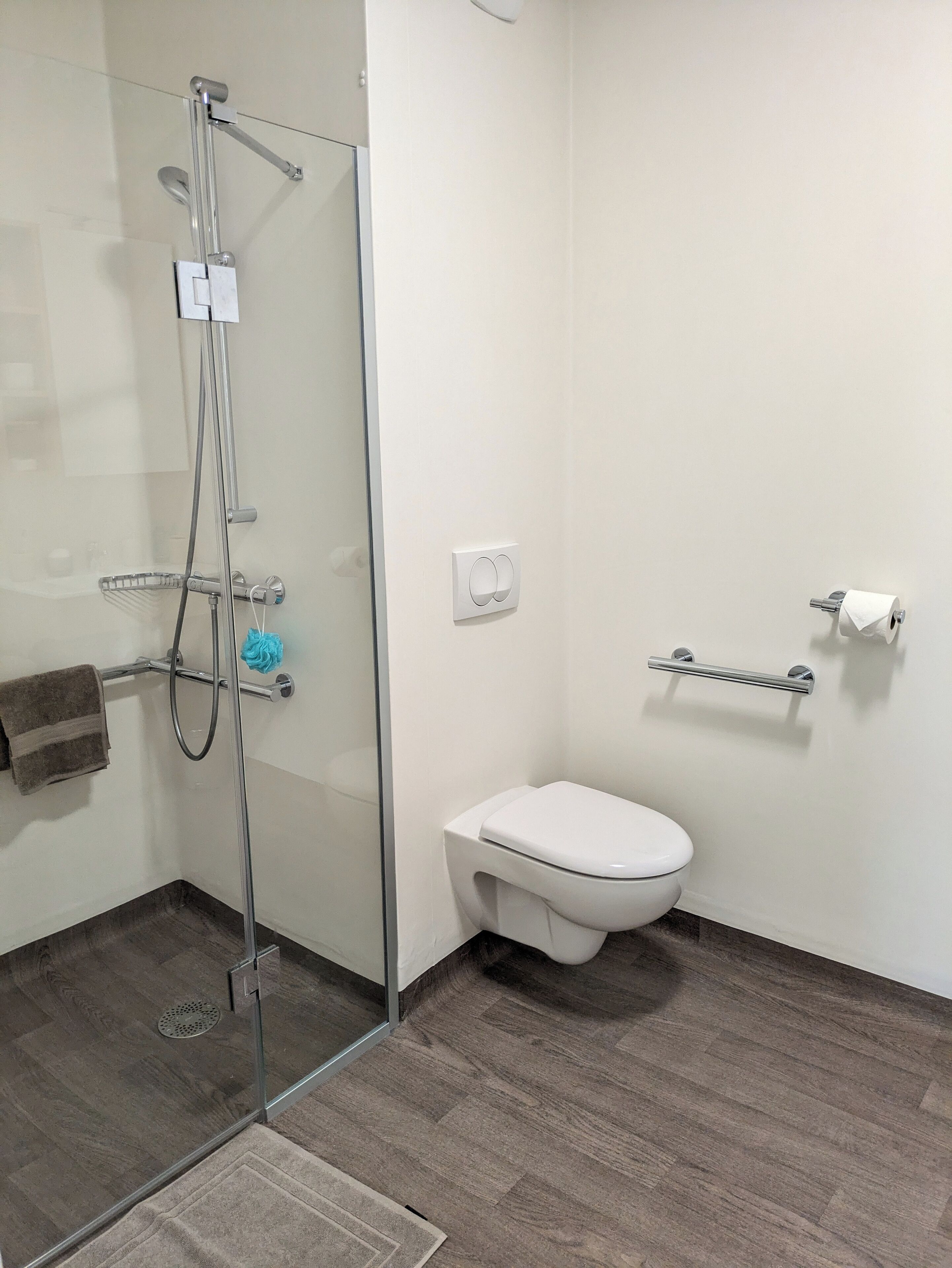A modern bathroom with a glass shower enclosure, a white toilet, and a towel rack.