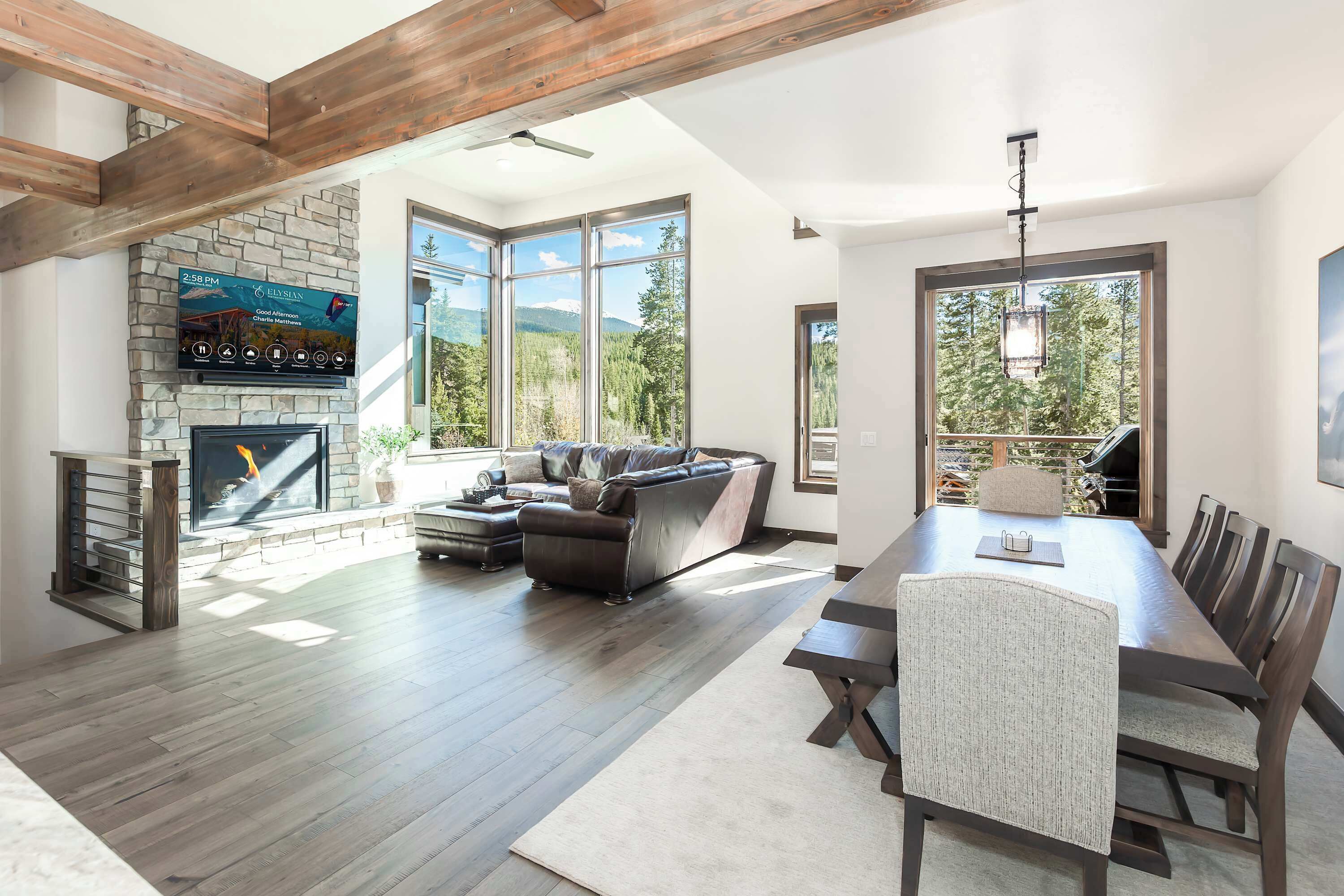 Televisión, chimenea, videojuegos y estéreo 