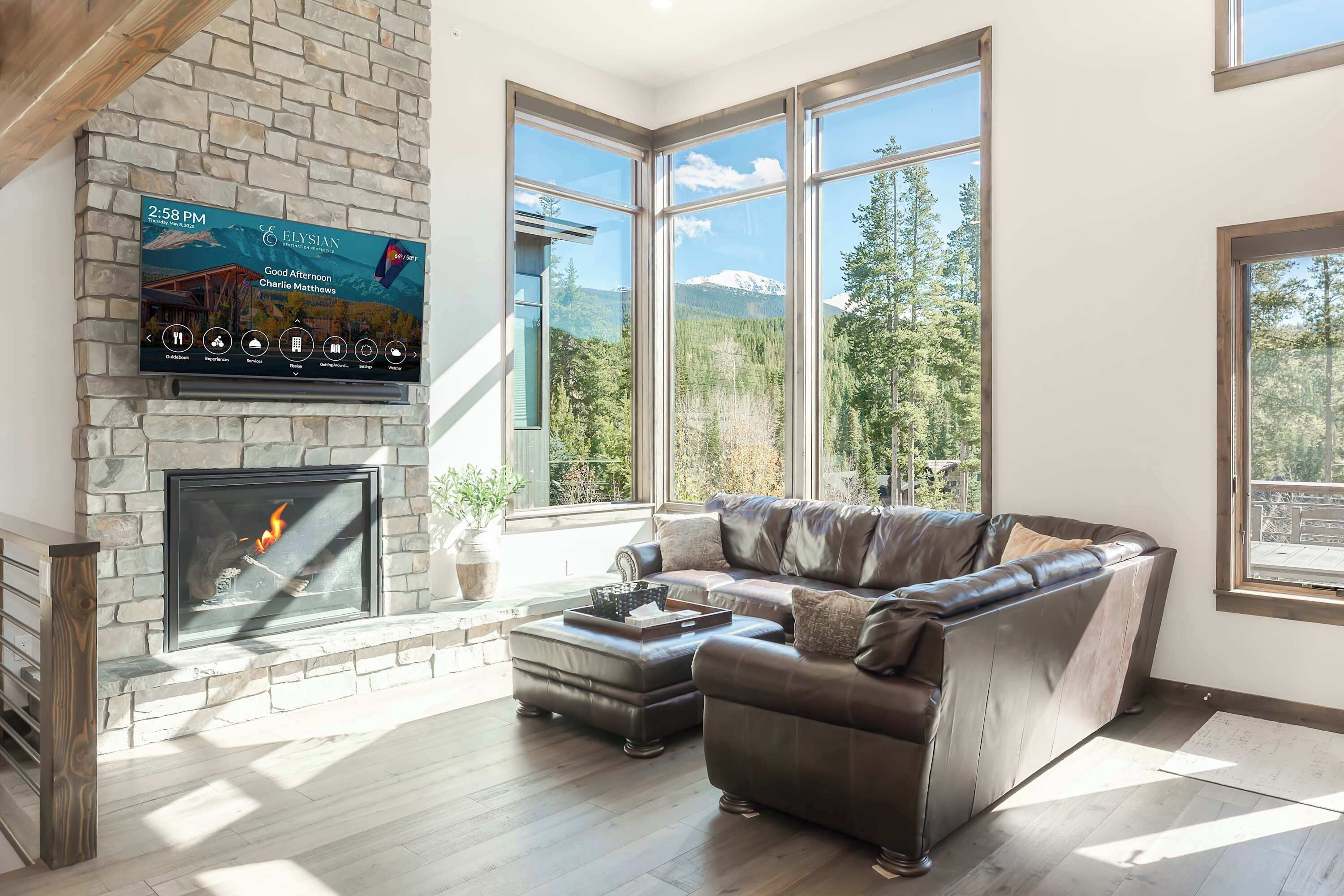 Télévision, cheminée, jeux vidéo, chaîne hi-fi