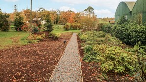 A garden pathway leading to a green building, surrounded by various plants and trees. - Robins Rest at The Lodge (Kilmacthomas)