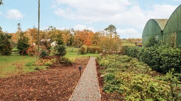 المنطقة المحيطة بالمنشأة