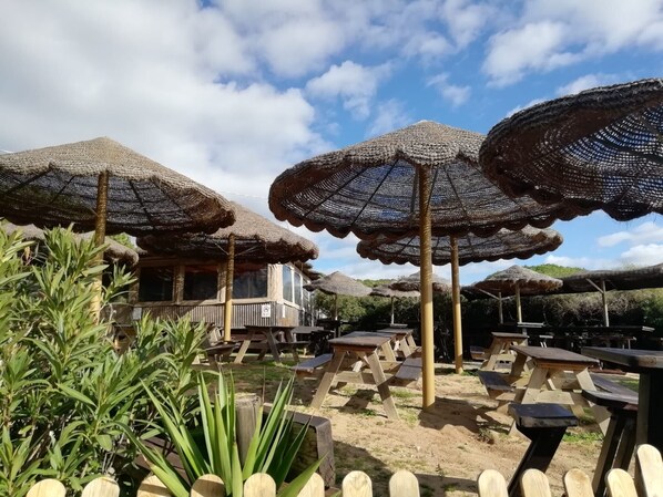 Espace extérieur aménagé avec des parasols en chaume, des tables en bois et un bâtiment doté de fenêtres.